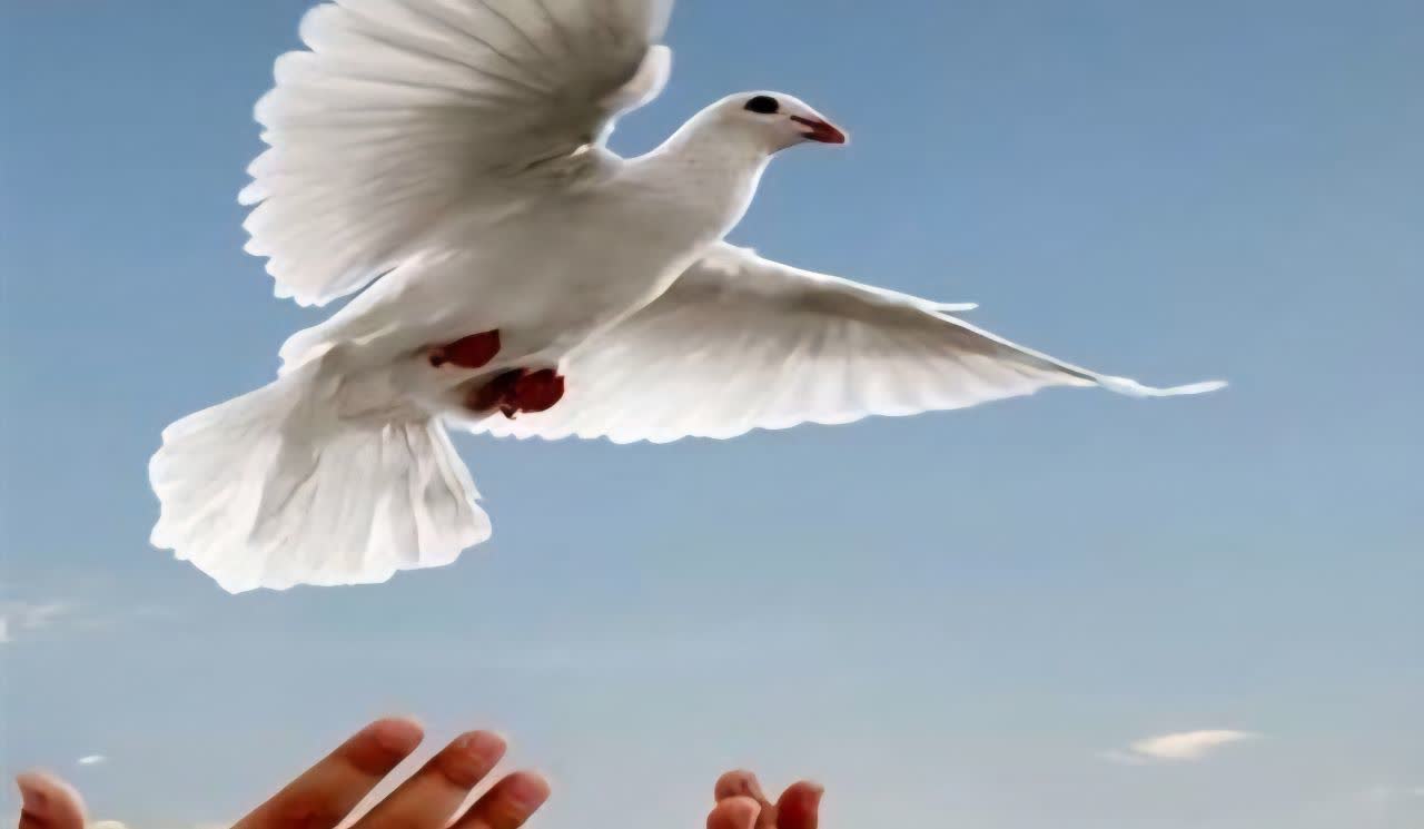 آزادی زندانی مالی پس از  ۱۸ سال از زندان توسط شاکی خیر