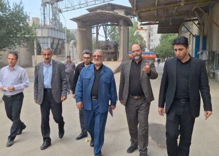 پیش‌بینی تولید بیش از ۵۷ هزار تن گندم در مزارع  خوی