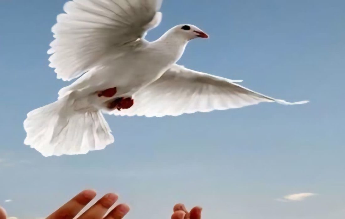 آزادی زندانی مالی پس از ۱۸ سال از زندان توسط شاکی خیر